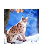 Картинка к книге Конформ Стайл - Календарь перекидной 2014 "В мире животных" 44х44 (15.1)