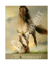 Картинка к книге Календари - Календарь на 2014 год "Лошади на природе" (КПВ1401)