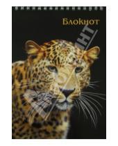 Картинка к книге Феникс+ - Блокнот "Леопард" (А5, 60 листов) (33907-12)