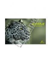 Картинка к книге Феникс+ - Альбом для рисования А4 "Леопард" (40 листов) (33810-5)