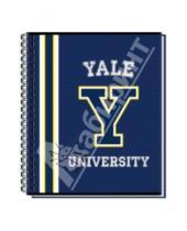 Картинка к книге Премьера - Тетрадь общая "Yale, blue" (А5, 96 листов, клетка) (36410-YL/BL)