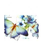 Картинка к книге Silwerhof - Альбом для рисования 20 листов, А4 "Бабочки" (911122-54)