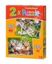 Картинка к книге Castorland - Puzzle "Котята в саду" 2 в 1 (B-021116)