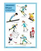 Картинка к книге Плакаты и таблицы - Плакат "Зимние виды спорта"