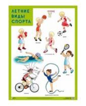 Картинка к книге Плакаты и таблицы - Плакат "Летние виды спорта"