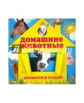Картинка к книге Александровна Анна Прищеп - Домашние животные