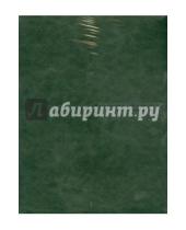 Картинка к книге Альт - Тетрадь 96 листов, клетка "Буквы. Кожа", в ассортименте (7-96-975)