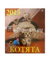Картинка к книге День за днём - Календарь настенный на 2015 год "Котята" (70505)