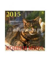 Картинка к книге День за днём - Календарь 2015 "Кошки мира" (70519)