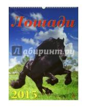 Картинка к книге День за днём - Календарь настенный на 2015 год "Лошади" (12508)