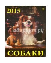 Картинка к книге День за днём - Календарь настенный на 2015 год "Собаки" (12518)