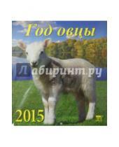 Картинка к книге День за днём - Календарь 2015 "Год овцы" (45503)