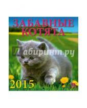 Картинка к книге День за днём - Календарь настенный на 2015 год "Забавные котята" (30505)