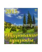 Картинка к книге День за днём - Календарь настенный на 2015 год "Очарование природы" (30511)