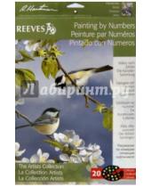 Картинка к книге Раскрашивание красками акриловыми - Набор для раскрашивания по номерам акриловыми красками "Птицы" (PBNACM6)