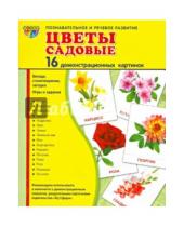 Картинка к книге В. Т. Цветкова - Демонстрационные картинки "Цветы садовые" (16 штук)