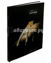 Картинка к книге Сергей Горшков - След кошки. Леопард