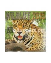 Картинка к книге Presco - Календарь 2015 "Wildlife" (2236)
