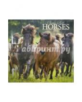 Картинка к книге Presco - Календарь 2015 "Horses Christiane Slawik" (2239)