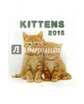 Картинка к книге Presco - Календарь 2015 "Kittens" (2242)