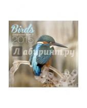 Картинка к книге Presco - Календарь 2015 "Birds Kingfisher World" (2388)