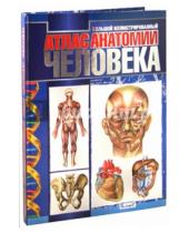 Картинка к книге Владис - Большой иллюстрированный атлас анатомии человека