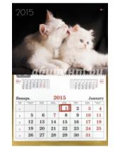 Картинка к книге Календари - Календарь настенный одноблочный на 2015 год "Кошачья нежность" (ККОБ1506)