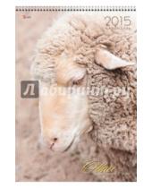 Картинка к книге Календари - Календарь настенный на 2015 год "Символ года. Год Овцы" (КПВ1503)