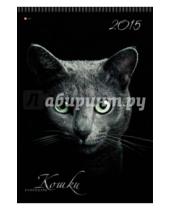 Картинка к книге Календари - Календарь настенный на 2015 год "Кошки" (КПВС1503)