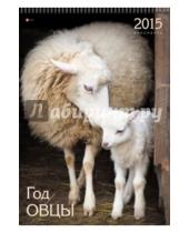Картинка к книге Календари - Календарь настенный на 2015 год "Символ года. Красивые овцы" (КПВС1501)
