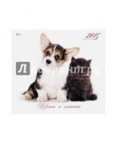 Картинка к книге Календари - Календарь настенный на 2015 год "Кошки и собаки" (КС121503)