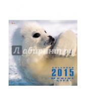 Картинка к книге Календари - Календарь настенный на 2015 год "Морские обитатели" (КС61508)