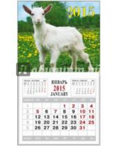 Картинка к книге Календари - Календарь на 2015 год "Символ года-5" (на магнитном креплении) (35763-24)