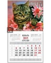 Картинка к книге Календари - Календарь на 2015 год "Котенок" (на магнитном креплении) (35765-24)