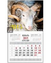 Картинка к книге Календари - Календарь на 2015 год "Символ года-4" (на магнитном креплении) (35762-24)