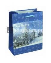 Картинка к книге МегаМАГ - Пакет новогодний ламинированный (180х227х100 мм) (MP 2034)