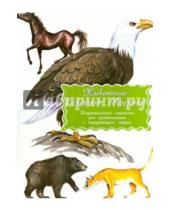Картинка к книге Маленький Гений-Пресс - Дидактические карточки "Животные Северной Америки"
