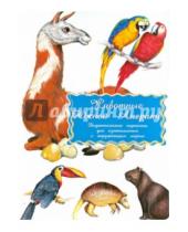 Картинка к книге Маленький Гений-Пресс - Дидактические карточки "Животные Южной Америки"