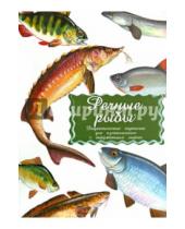 Картинка к книге Маленький Гений-Пресс - Дидактические карточки "Речные рыбы"