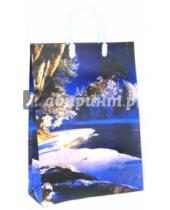 Картинка к книге МегаМАГ - Пакет пластиковый (320х420х100 мм) (PBL 335)