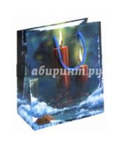 Картинка к книге МегаМАГ - Пакет новогодний ламинированный (180х227х100 мм) (M 2078)