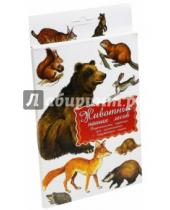 Картинка к книге Маленький Гений-Пресс - Дидактические карточки "Животные наших лесов"