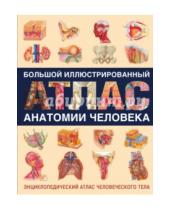 Картинка к книге АСТ - Большой иллюстрированный атлас анатомии человека
