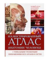 Картинка к книге АСТ - Иллюстрированный атлас анатомии человека