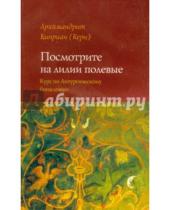 Картинка к книге (Керн) Киприан Архимандрит - Посмотрите на лилии полевые. Курс лекций по литургическому богословию