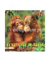 Картинка к книге Календарь настенный 300х300 - Календарь настенный на 2016 год "Год обезьяны. Малыши"