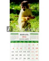 Картинка к книге Календарь настенный 220x250 - Календарь на 2016. Год обезьяны (45606)