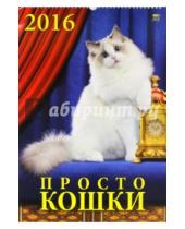 Картинка к книге Календарь настенный 350х500 - Календарь настенный на 2016 год "Просто кошки" (12610)