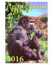 Картинка к книге Календарь настенный 350х500 - Календарь настенный на 2016 год "Год обезьяны" (12617)
