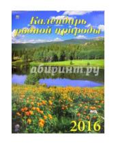 Картинка к книге Календарь настенный 460х600 - Календарь настенный на 2016 год "Календарь родной природы" (13603)